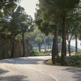 Picture - ShootOutside Film/Photo Location Scout Service Spain Andalusia - Tree lined Road